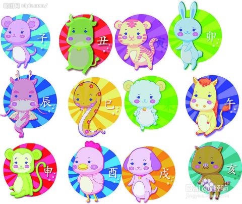 百度属蛇的今年多大，属蛇的周岁今年多大了