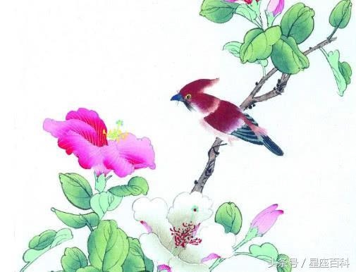 属牛的一辈子辛苦吗，辛苦一阵子幸福一辈子