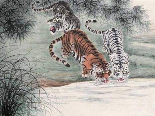 属虎的是哪几年出生的,1974年属虎是什么命