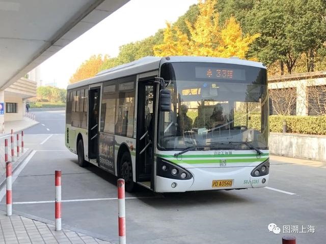 975属兔人交运是什么时候，1975年属兔交运防什么"