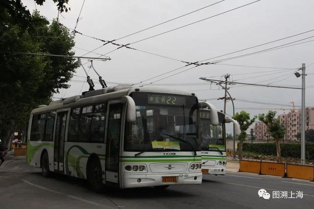 975属兔人交运是什么时候，1975年属兔交运防什么"