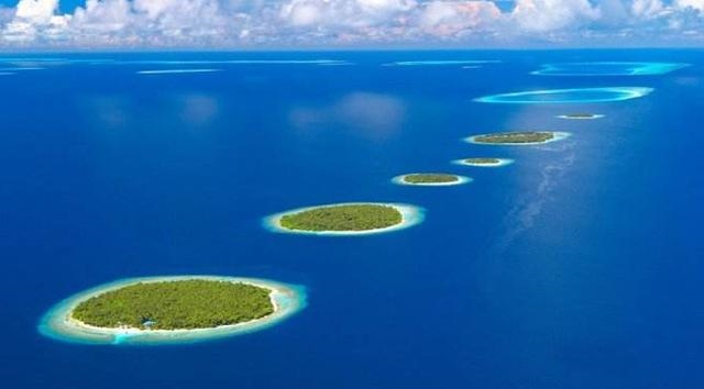 9年属兔人十年大运,1999年出生属兔的学业"