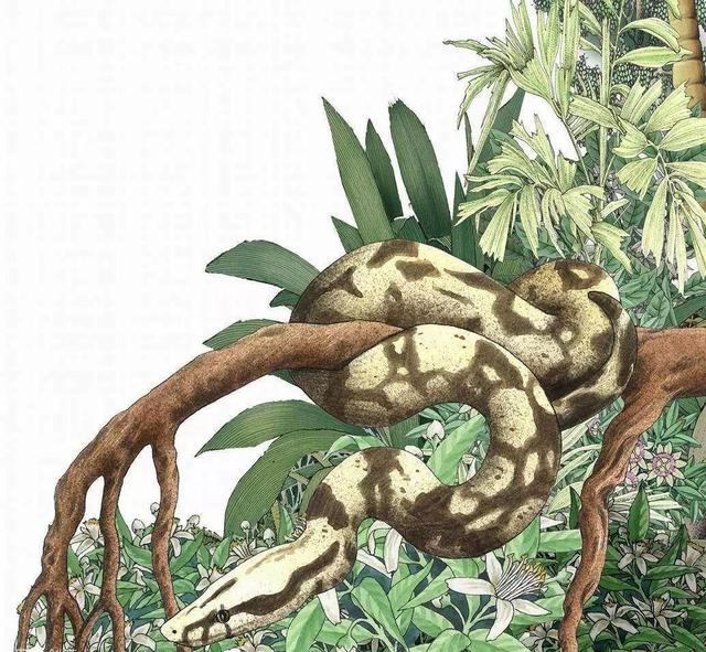 蛇最怕什么东西，蛇最喜欢吃什么水果