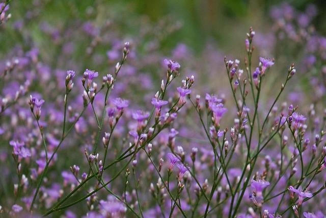 5年女兔人在2022年好不好,75年属兔人今年运势"