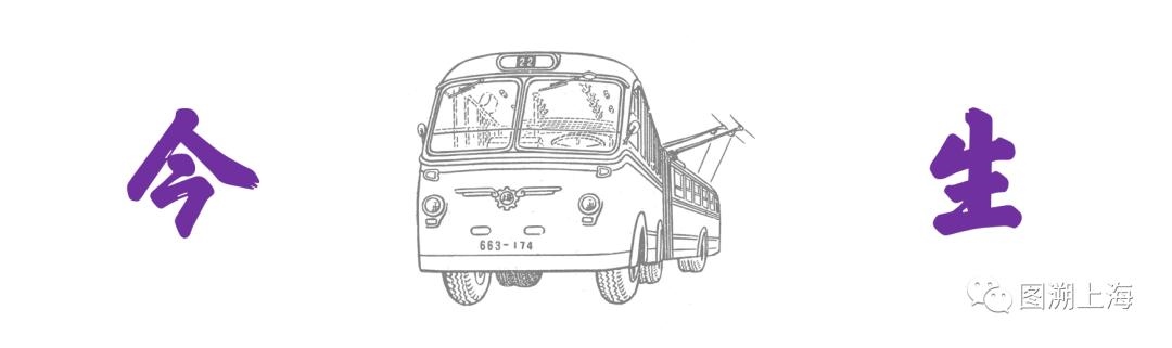 975属兔人交运是什么时候，1975年属兔交运防什么"