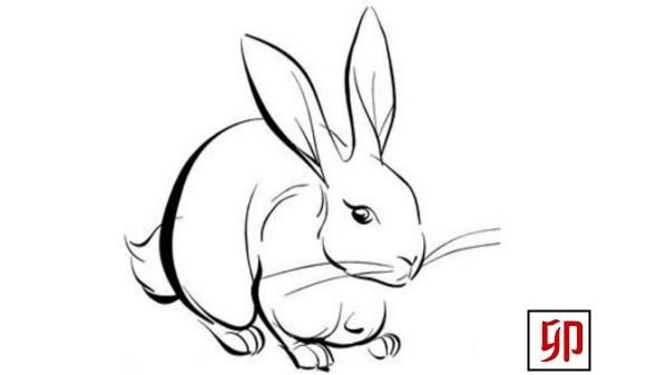 987年农历二月属兔,属兔出生在八月"