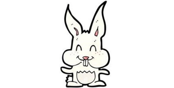 5年属兔人最近财运，1975年属兔人今日运势"