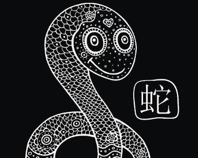 2生肖桃花劫图片，十二生肖桃花劫属相"