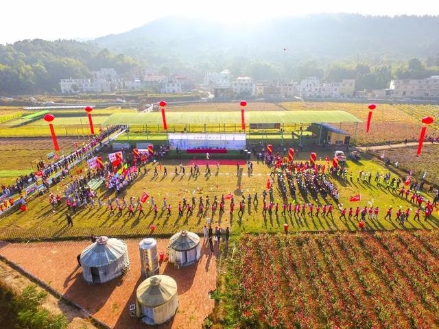 023年黑兔，黑兔年会是地极移大灾难"