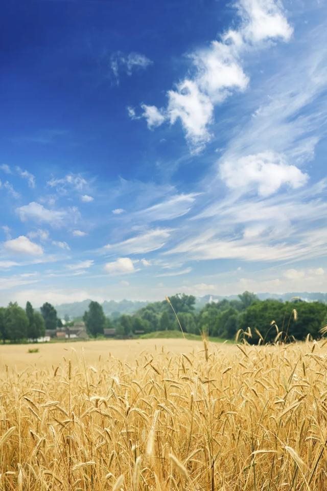 最近宜生孩子日子，2022 年适合生孩子的日子