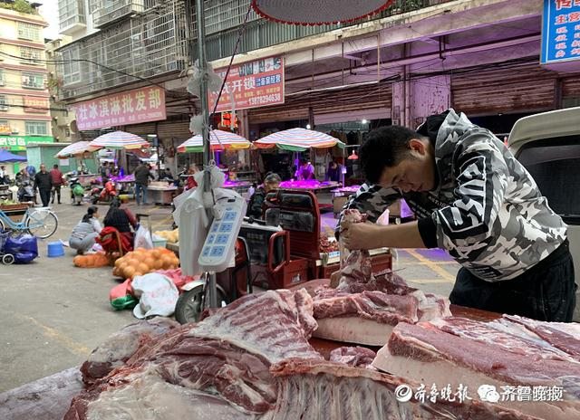 男猪女兔在一起好不好，猪男女兔结婚