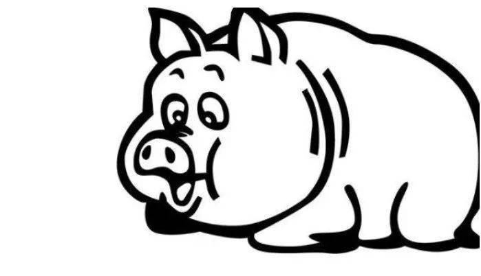 属猪2022年运势如何,生肖狗2023年运势大全