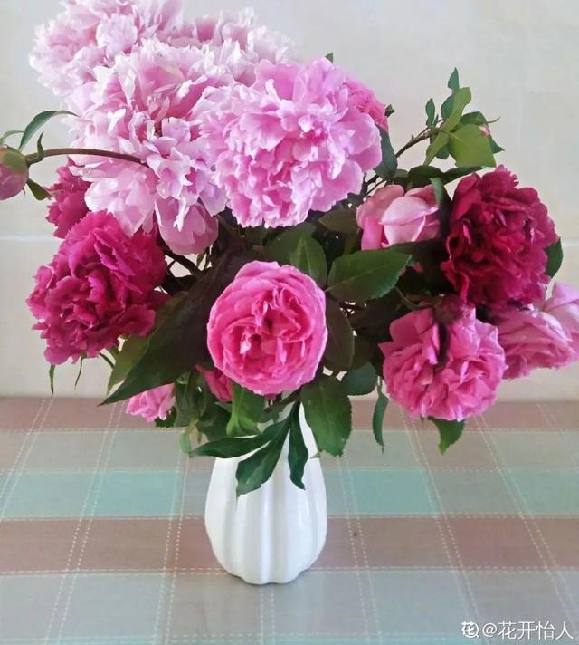 为什么属兔和属龙相害，生肖中为何属兔与属龙犯冲