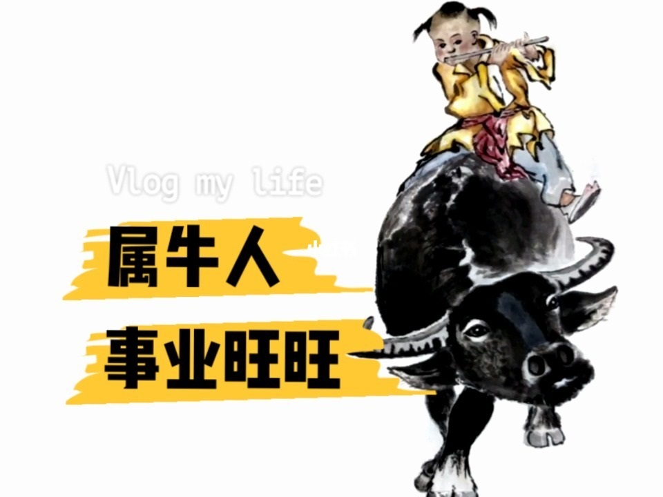 属牛的人在婚姻上面有什么问题，两个属牛的人婚姻如何