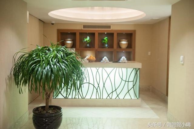 李居明九运的预测,九运中国最旺的地方