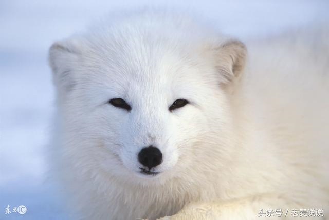 身上带 是怎么回事，自身带仙是怎么回事