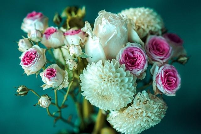 5年女兔人在2022年好不好,75年属兔人今年运势"