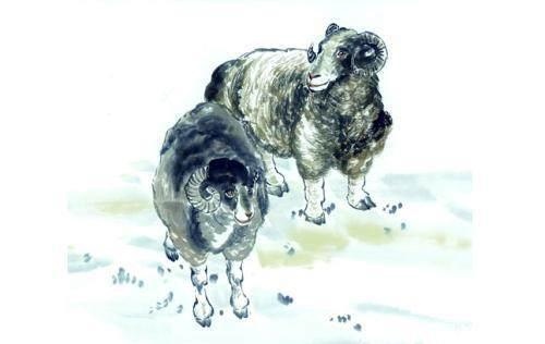 属兔的和什么生肖最旺，属虎和属兔哪个生肖好