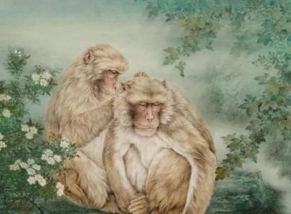 属猴女哪个月最有福气，男兔和女蛇属相合不合