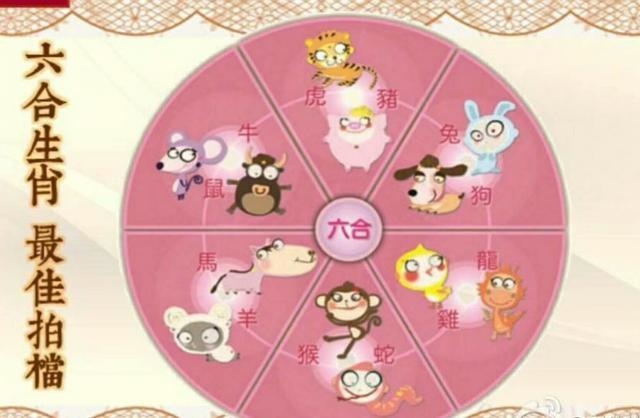属羊女和属兔男的婚配，87兔和91羊婚姻如何