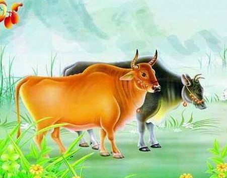 属羊男属狗女相配么,男属羊女属狗结婚好吗