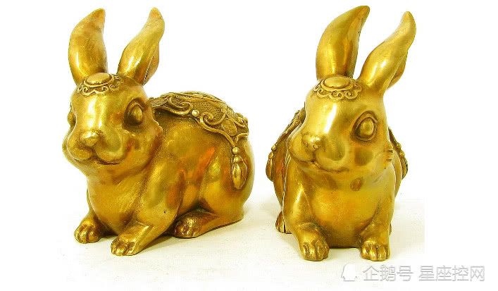 属兔1987年婚姻状况,1987年属兔的感情婚姻