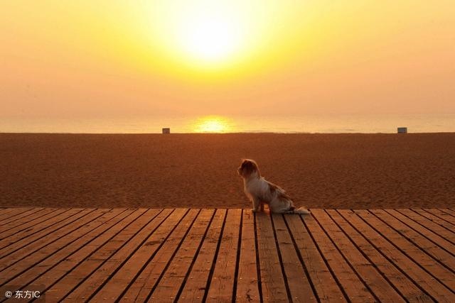 022年必定添丁的生肖，2022