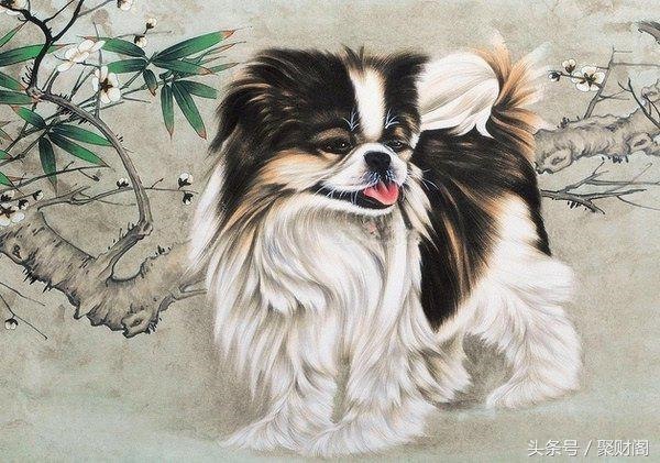 属狗女和什么最不合,属相狗女和什么属相更佳