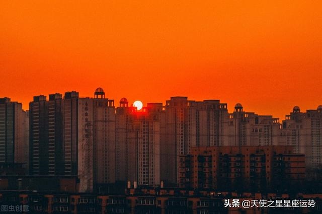 022十二生肖图表，2022年12生肖运势解析"