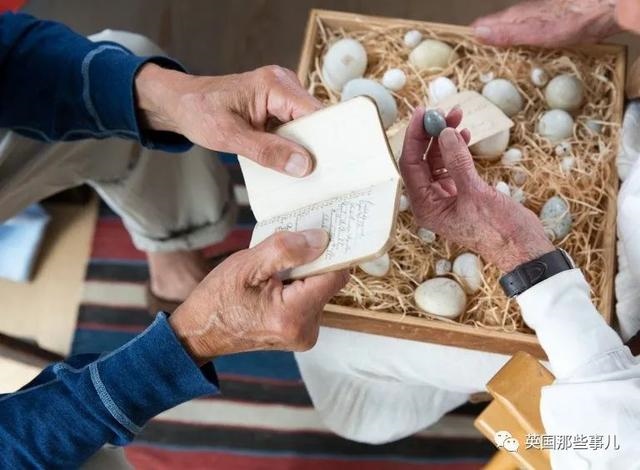 022年兔和牛合拍不,87年属兔34岁2022运势"