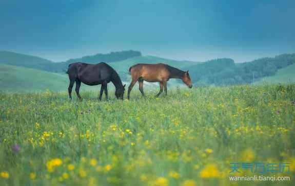 6年属马人2022年每月运势,1966年属马人2022
