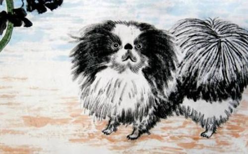 946年属狗最终寿命，46年属狗的寿命有多大"