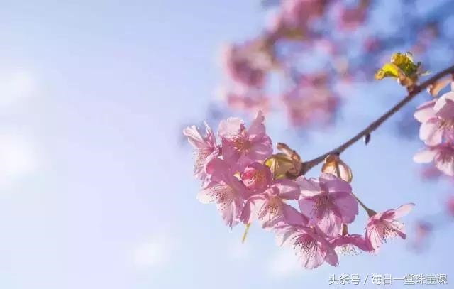 3年属鸡的28岁有一劫，1993年属鸡注定坎坷"