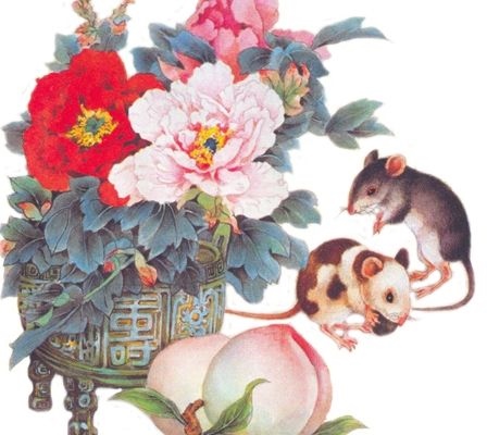 4年十月出生属鼠命运，2022