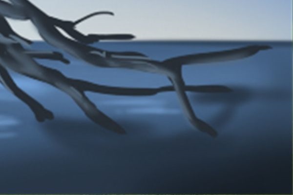 属鸡和属兔合财吗，属鸡的人和属兔的人合财吗