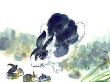 属兔生在几月更好农历，87年属兔33岁有一劫