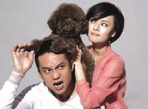 龙和猪相配婚姻如何，猪和龙属相合不合