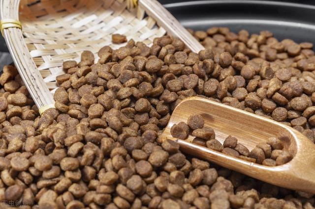 022年生肖狗年龄对照表，2022年生肖年龄对照表"