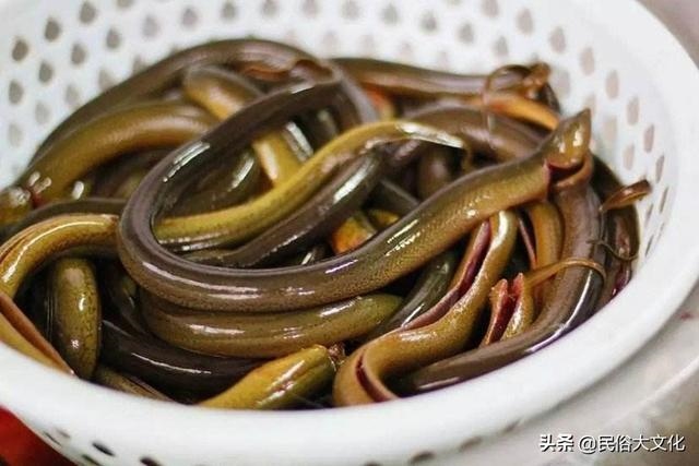 屬蛇忌諱幾月出生農(nóng)歷，屬蛇的女人寡婦命