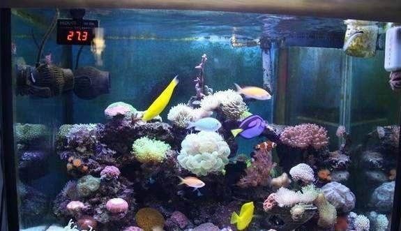 属兔人招财转运 *** ，属兔带什么更好转运