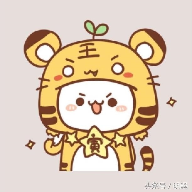 022年十二生肖财运排名，2022年属虎运程"