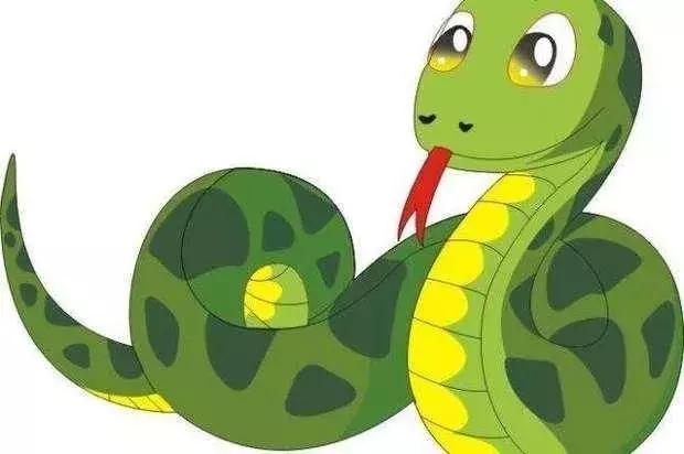 十二生肖的特征及属性，十二生肖最全属性表图