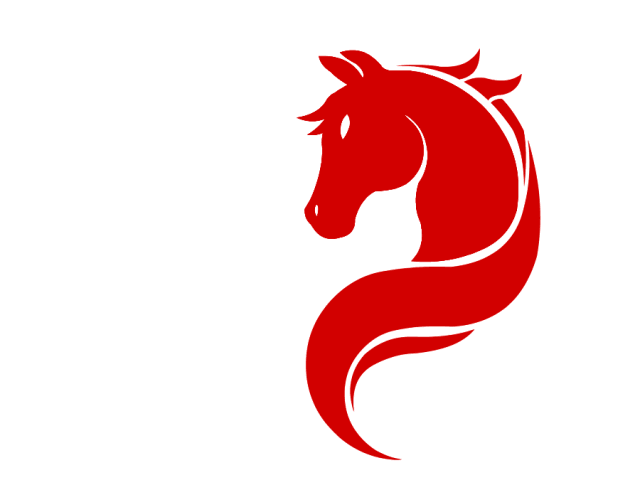 0年女马下半年运势,90年女马2022