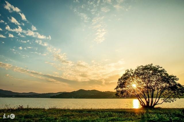 属狗最忌生啥属相宝宝，我属狗儿子属牛好不好