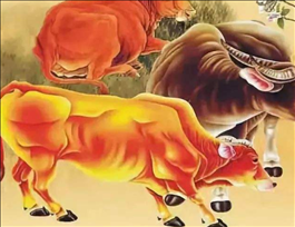 属牛属相婚配好不好，属牛婚配哪个属相更好