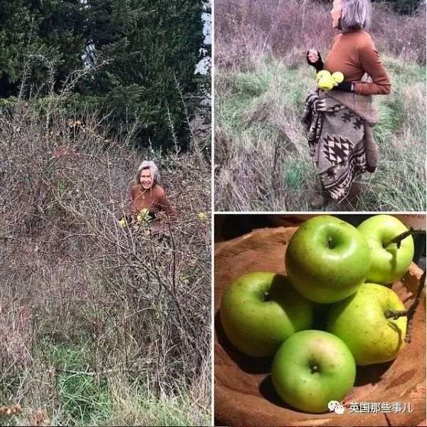 022年兔和牛合拍不,87年属兔34岁2022运势"