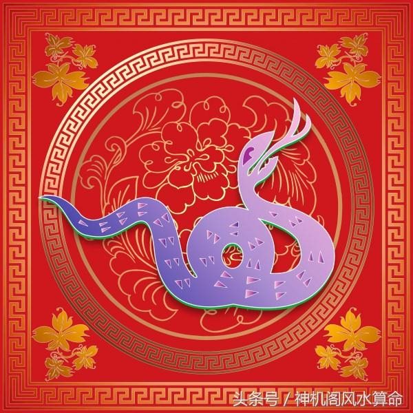 农历十一月的蛇的婚姻，1977年属蛇的是什么命