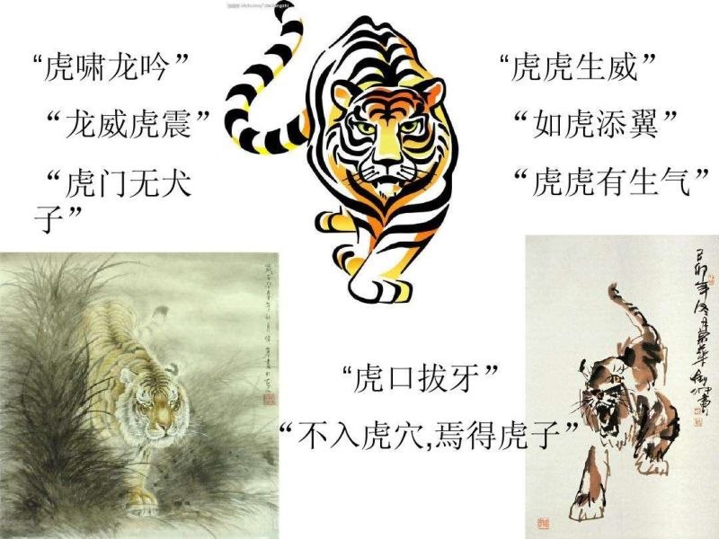 十二生肖免费观看完整版，十二生肖电影高清完整版在线观看