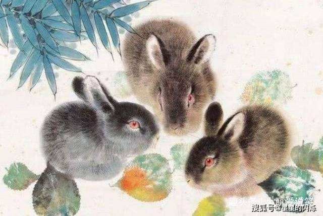 属兔几点出生更好，属兔几月出生更好命运