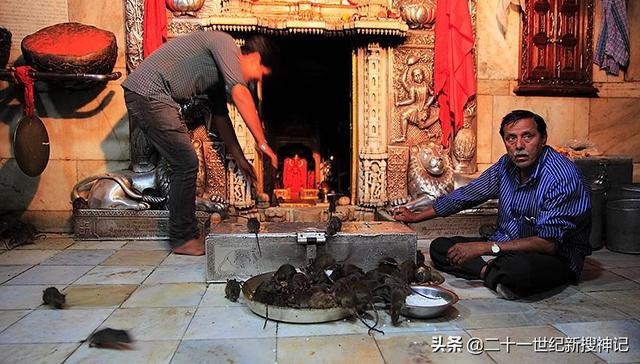 兔日对属兔的是凶是吉，日历上虎冲猴是啥意思